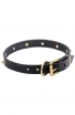 Leather Dog Collar "Golden Skull" with Row of Brass Spikes and Skulls