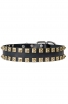 Designer Studded Leather Dog Collar with Brass Studs