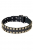 Designer Studded Leather Dog Collar with Brass Studs