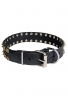 Designer Studded Leather Dog Collar with Brass Studs
