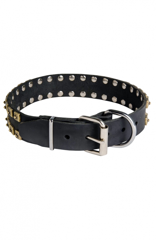 Designer Studded Leather Dog Collar with Brass Studs - Old Mill Store