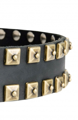 Designer Studded Leather Dog Collar with Brass Studs