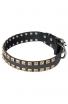 Designer Studded Leather Dog Collar with Brass Studs