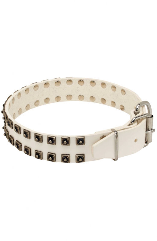 Fashion White Leather Dog Collar with 2 Rows of Studs Old Mill Store