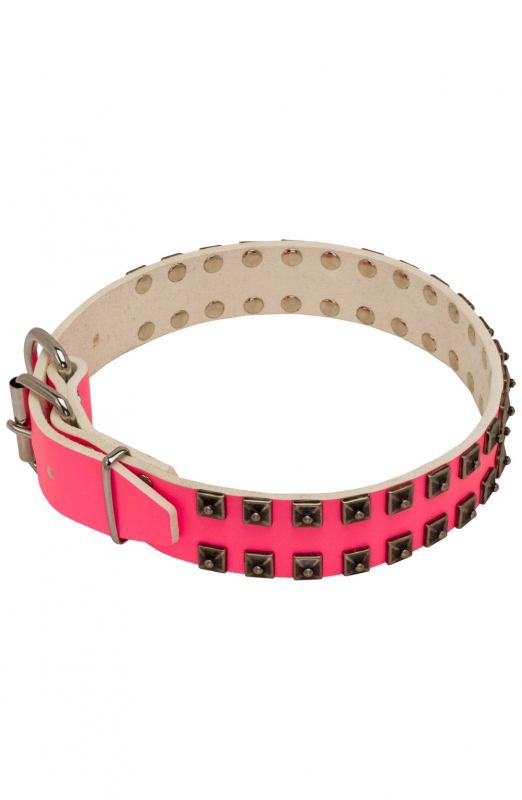 Pink Leather Female Dog Collar with Brass Studs Old Mill Store