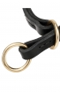 Padded Leather Choke Collar for Dog Training