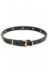 Narrow Leather Dog Collar "Antique Brass"