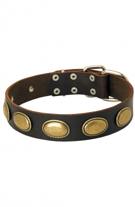 Vintage Dog Leather Collar with Oval Plates