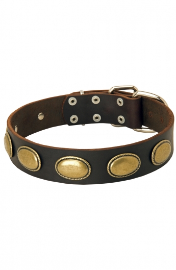 Vintage Dog Leather Collar with Oval Plates