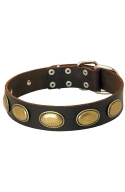 Vintage Dog Leather Collar with Oval Plates