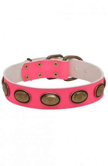 Pink Leather Girl Dog Collar with Vintage Plates