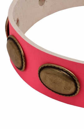 Pink Leather Girl Dog Collar with Vintage Plates