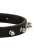 Classic Spiked Leather Dog Collar