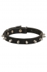 Classic Spiked Leather Dog Collar