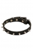 Classic Spiked Leather Dog Collar