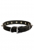 Classic Spiked Leather Dog Collar