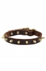 Classic Spiked Leather Dog Collar with Brass Spikes