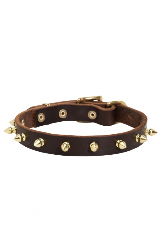 Classic Spiked Leather Dog Collar with Brass Spikes - Old ...