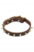 Classic Spiked Leather Dog Collar with Brass Spikes