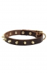 Classic Spiked Leather Dog Collar with Brass Spikes