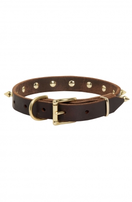 Classic Spiked Leather Dog Collar with Brass Spikes