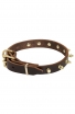 Classic Spiked Leather Dog Collar with Brass Spikes