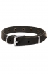 Lightweight Dog Collar for Small Dog Breeds