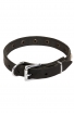 Lightweight Dog Collar for Small Dog Breeds