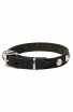 Lightweight Dog Collar for Small Dog Breeds