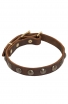 Leather Dog Collar for Puppies and Small Breeds