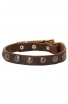Leather Dog Collar for Puppies and Small Breeds