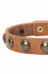 Leather Dog Collar for Puppies and Small Breeds