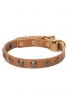 Leather Dog Collar for Puppies and Small Breeds