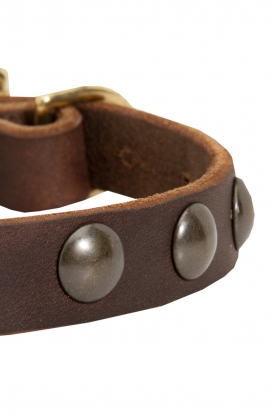 Leather Dog Collar for Puppies and Small Breeds