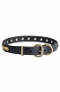 Designer Leather Dog Collar with Horizontal Brass Plates