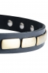 Designer Leather Dog Collar with Horizontal Brass Plates