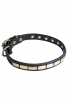 Designer Leather Dog Collar with Horizontal Brass Plates