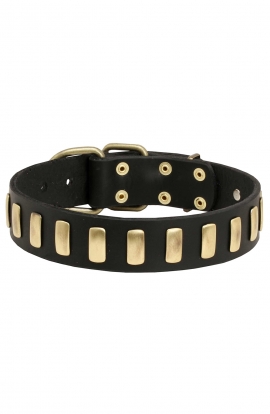 Beautiful Dog Leather Collar with Brass Plates