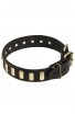 Beautiful Dog Leather Collar with Brass Plates