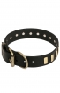 Beautiful Dog Leather Collar with Brass Plates