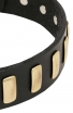 Beautiful Dog Leather Collar with Brass Plates