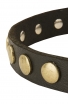 Narrow Dog Collar with Old Brass Circles