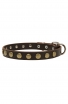 Narrow Dog Collar with Old Brass Circles