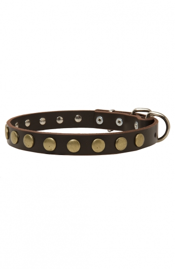 Narrow Dog Collar with Old Brass Circles