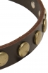 Narrow Dog Collar with Old Brass Circles