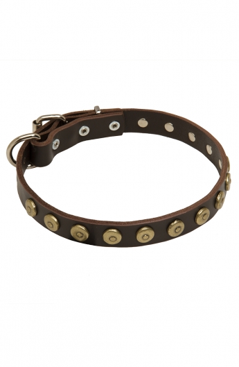 Elegant Dog Collar with Old Brass Doted Circles