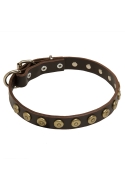 Elegant Dog Collar with Old Brass Doted Circles