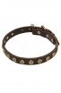 Elegant Dog Collar with Old Brass Doted Circles