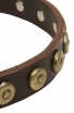 Elegant Dog Collar with Old Brass Doted Circles