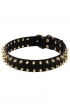 Spiked Leather Dog Collar with Gold-like Spikes